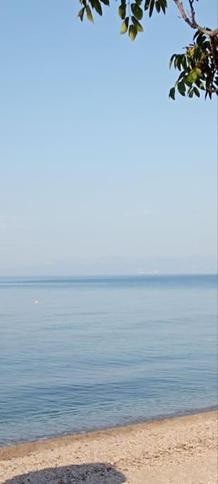 Pomegranate Seaside Corner Βίλα Φανάρι Εξωτερικό φωτογραφία