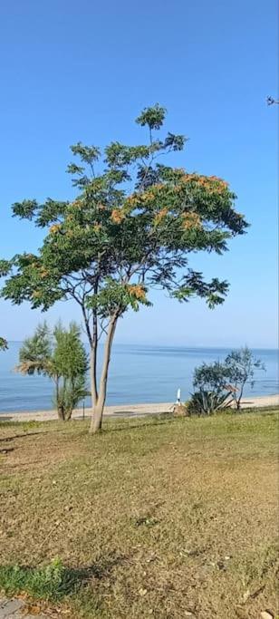 Pomegranate Seaside Corner Βίλα Φανάρι Εξωτερικό φωτογραφία