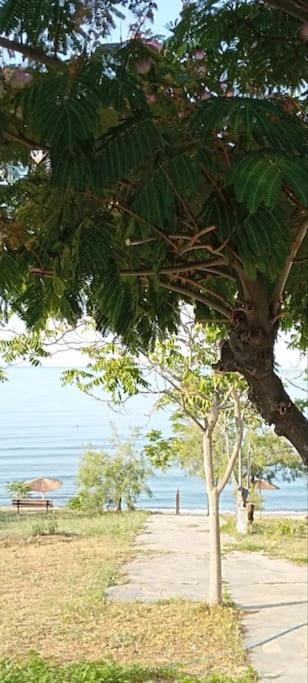 Pomegranate Seaside Corner Βίλα Φανάρι Εξωτερικό φωτογραφία