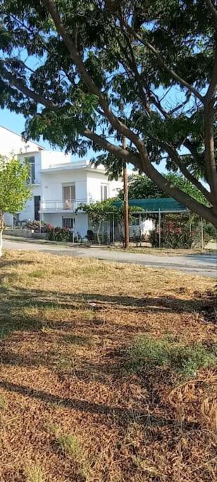 Pomegranate Seaside Corner Βίλα Φανάρι Εξωτερικό φωτογραφία